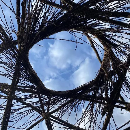 Frühstückspension Locazione Turista Cocode